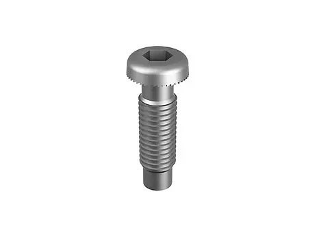 Self tapping screw with hexagon socket